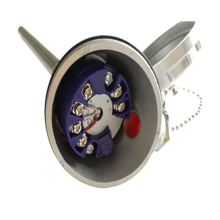 pt100 transmitter 4 20ma1.jpg
